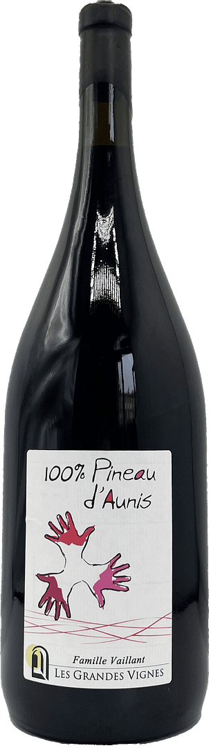 Pineau d'Aunis 2022 Magnum - Domaine des Grandes Vignes - VDF (Loire) - 11%