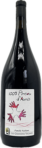 Pineau d'Aunis 2022 Magnum - Domaine des Grandes Vignes - VDF (Loire) - 11%