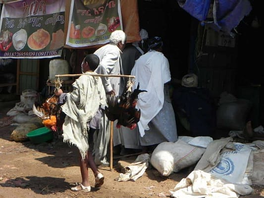 addis-abeba-athiopie-marché