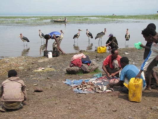 Lac-Awassa-retour-de-la-pêche