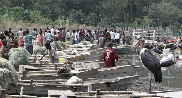 reise-ethiopie-lac-awassa