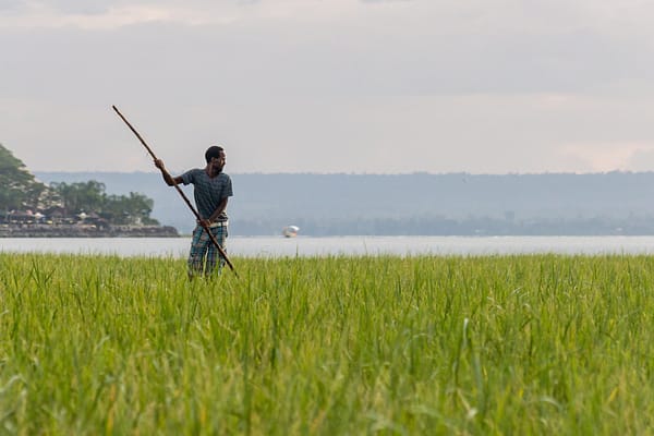 Lac Chamo Ethiopie