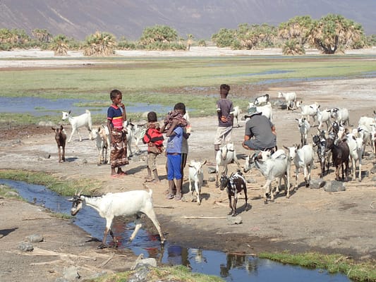 Les Allols Djibouti