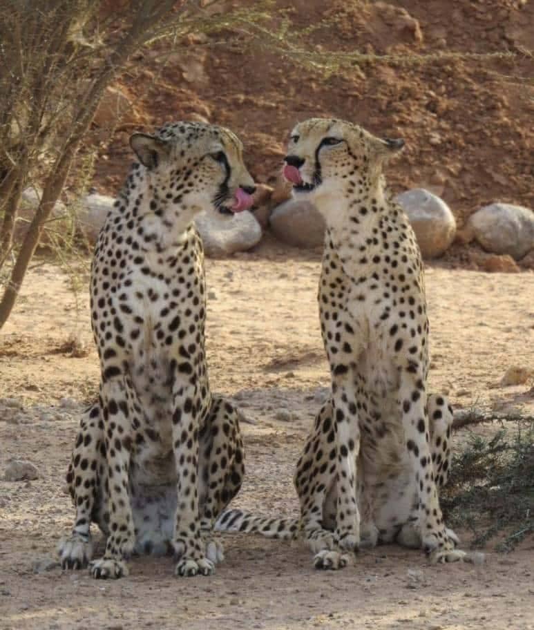 africa-horn-travel-Djibouti