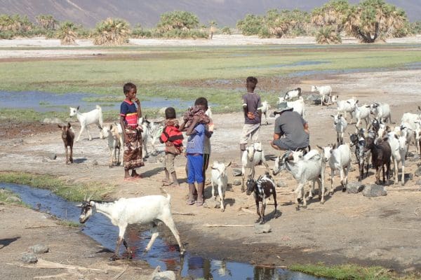 Les Allols Djibouti