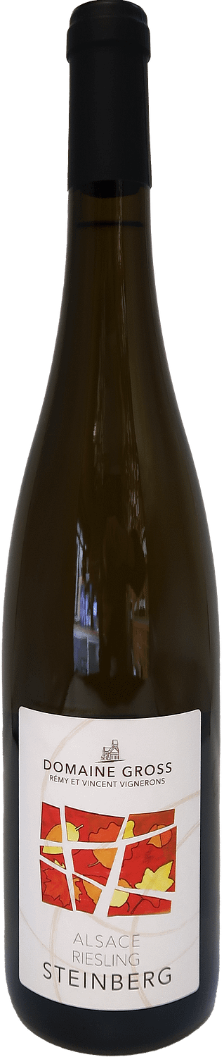 Riesling Steinberg 2016 - Vincent Gross